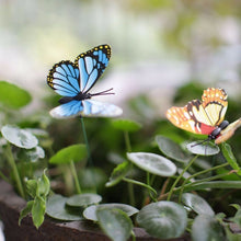 Butterfly Garden Stakes