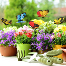 Butterfly Garden Stakes
